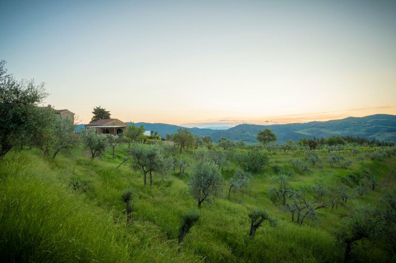 La Rimbecca Country & Hotel Greve in Chianti